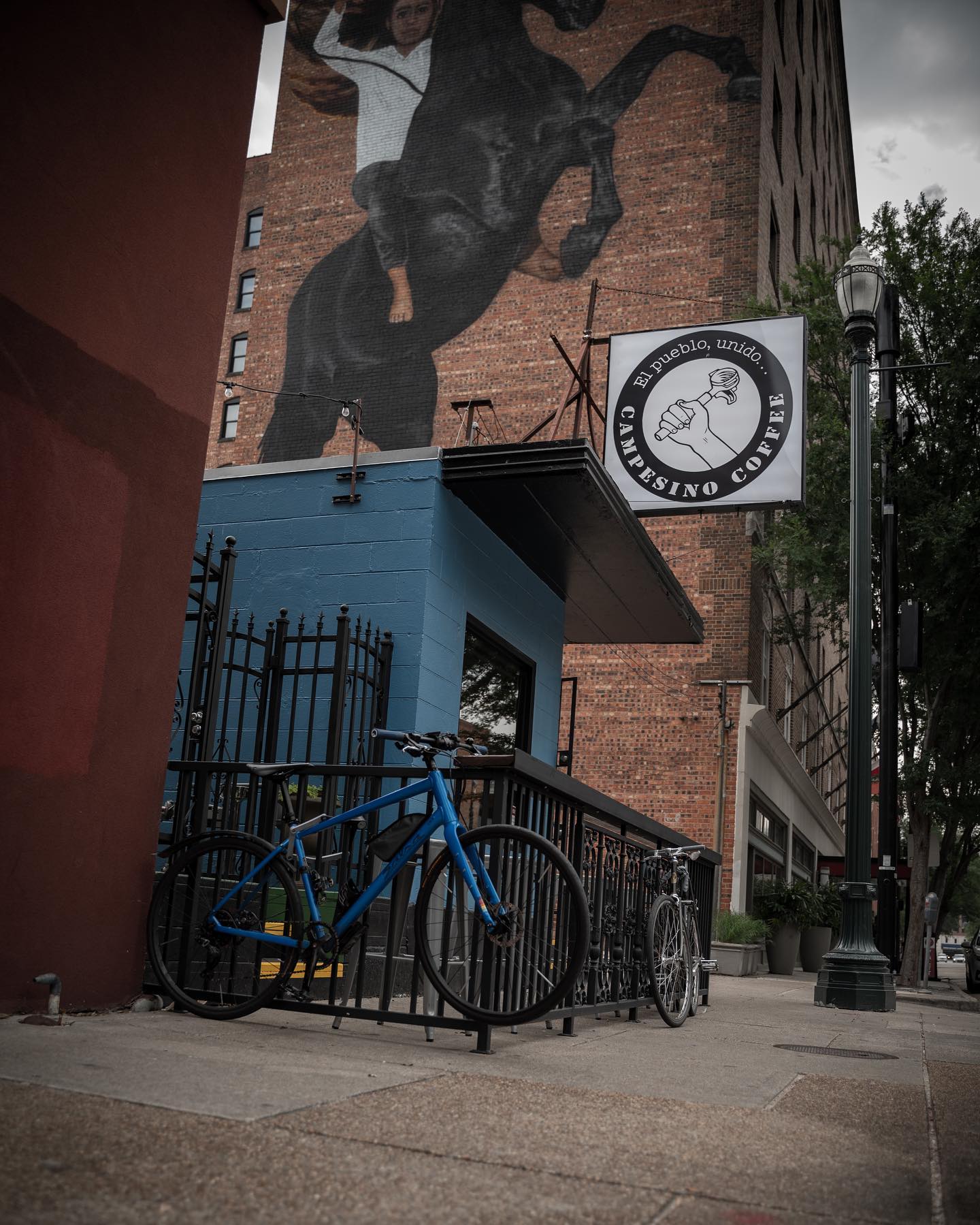Campesino Coffee