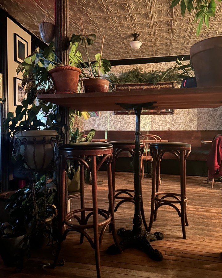 Plant-filled interior corner at Ost Cafe