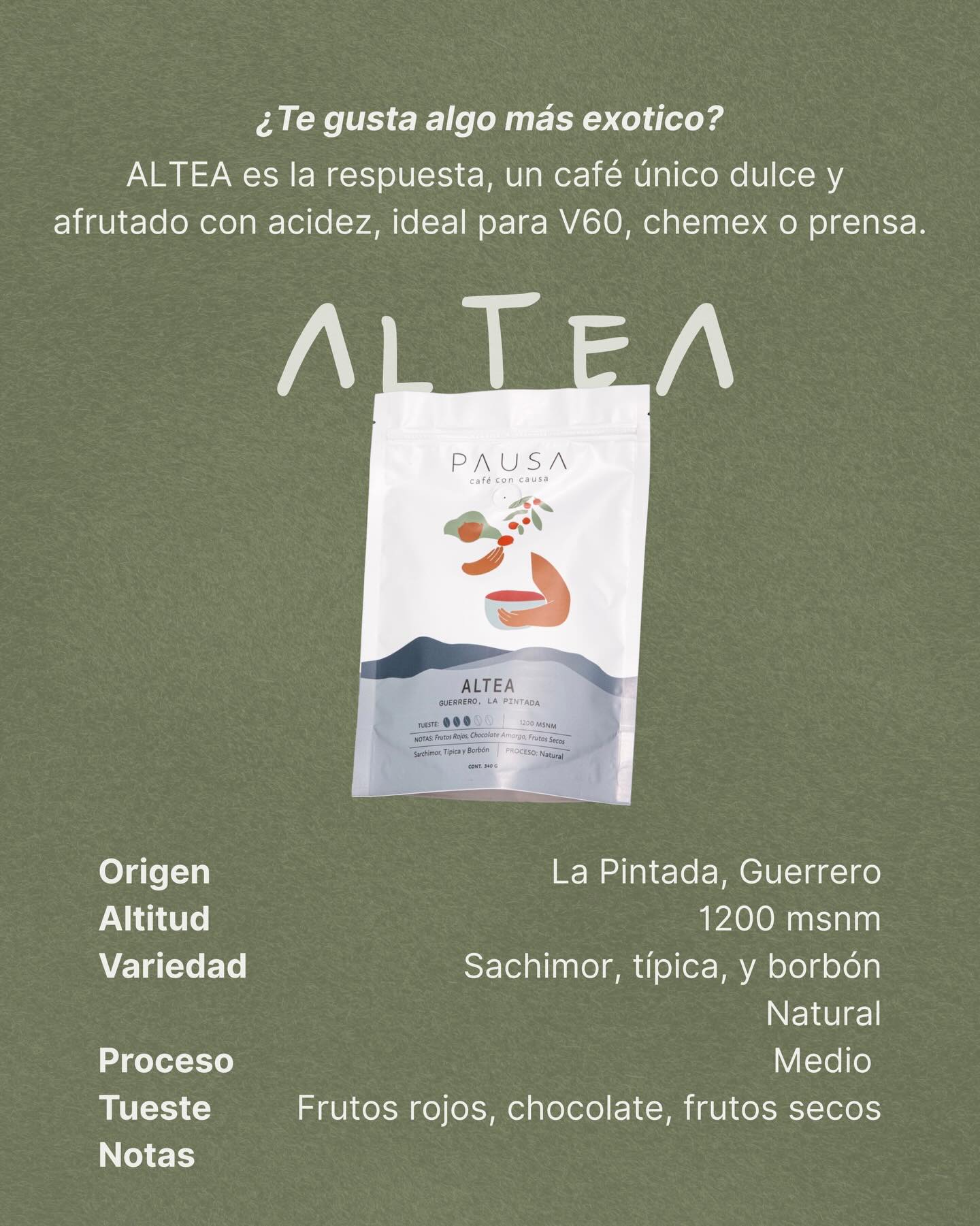 ALTEA specialty coffee