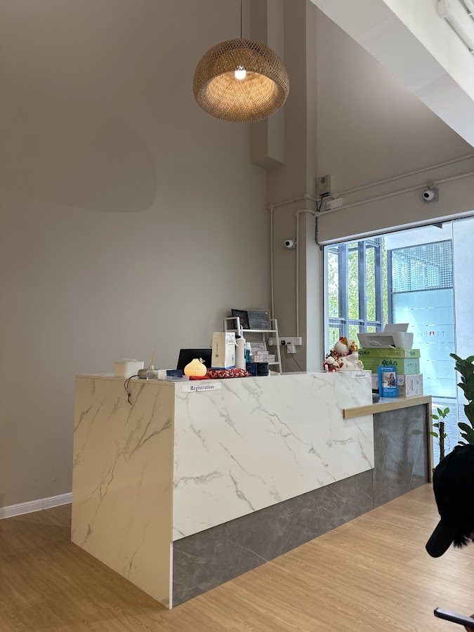 Smilee Dental reception desk